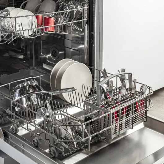 81GzxanBG9L._AC_SL1500_