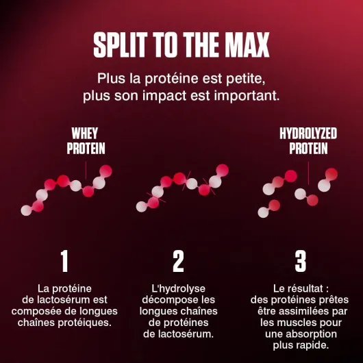 61dXPBcW0rL._AC_SL1080_