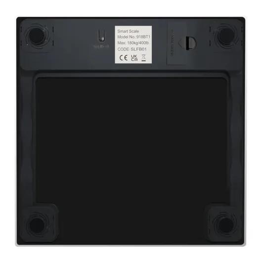 51rtjm6WL L._SL1227_