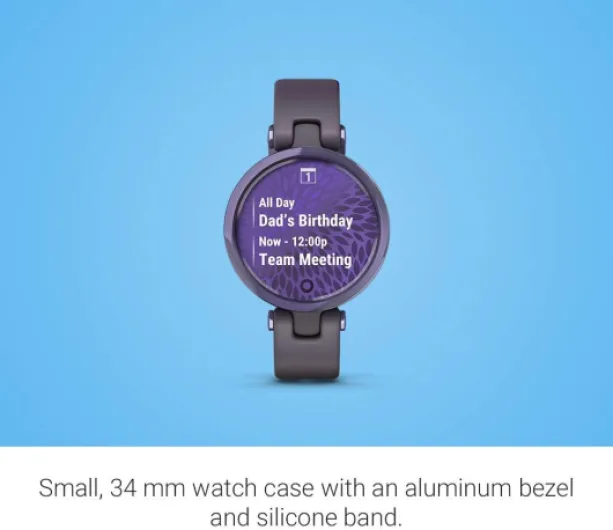 51y5YiqI23L._AC_SL1000_