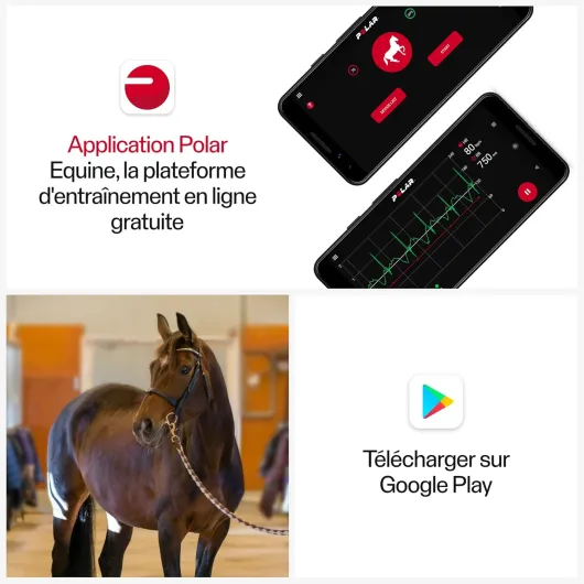 714ZhJnU-AL._AC_SL1500_