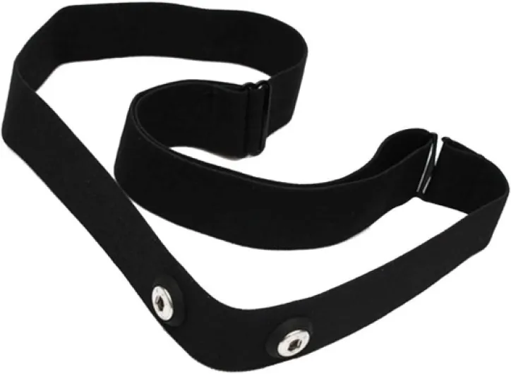 41okEXQuGZL._AC_SL1000_