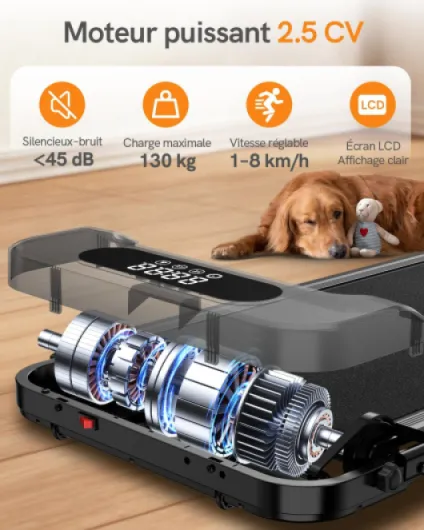 71DHSC5PTiL._AC_SL1500_