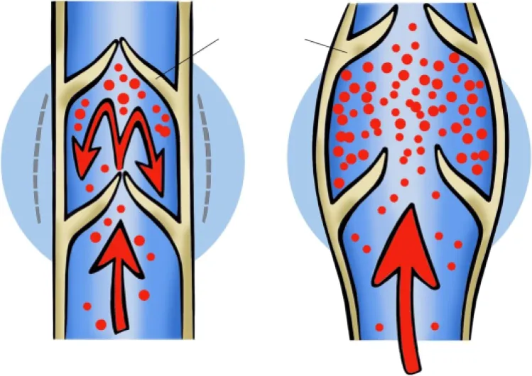 717qo96VLaL._AC_SL1500_