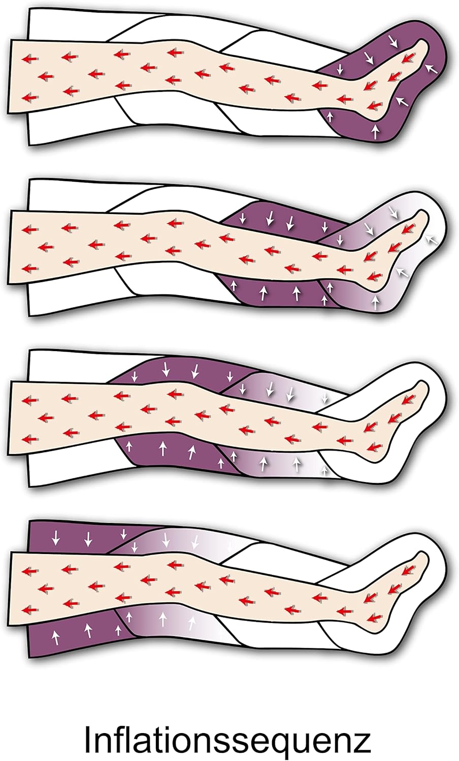 Pressothérapie appareil de massage PressoMassaggio Plus+ (avec 2 bottes et Kit Slim Body) - Drainage Lymphatique - À usage domestique et professionnel avec 2 jambières et Kit Slim Body