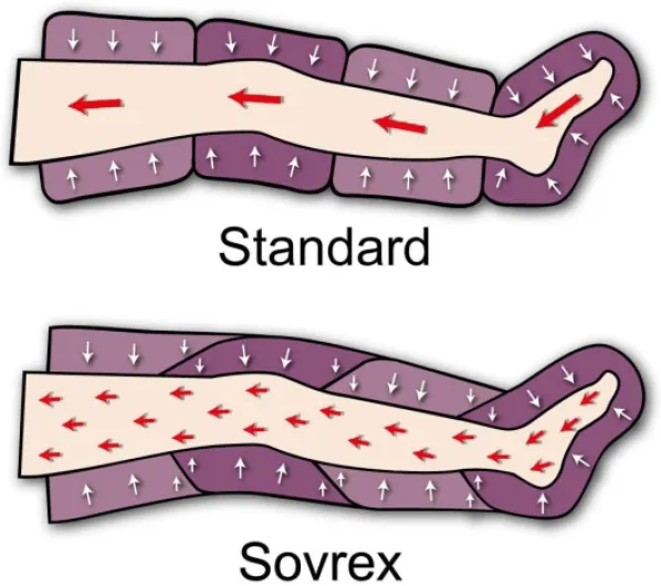 61Q6wIP xOL._AC_SL1000_