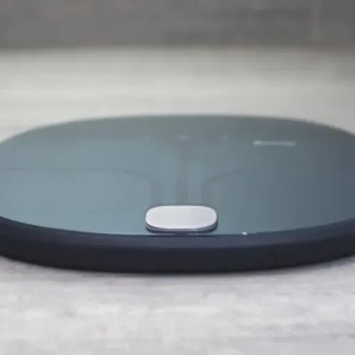 Test Terraillon Web Coach Fit : la balance connectée qui fait le job sans fioritures