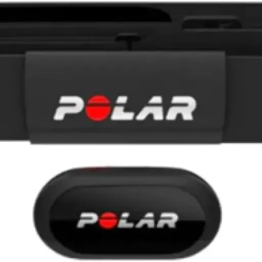 Test Polar Equine H10 : le cardiofréquencemètre pour chevaux qui fait le job
