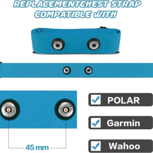 Test Onlyesh Ceinture Cardio : une solution de rechange sans fioritures.