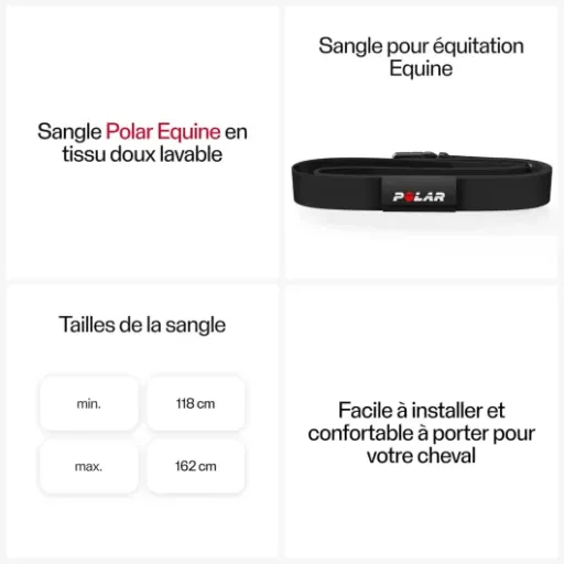 Test Polar Equine H10 : le cardio pour chevaux qui fait le job
