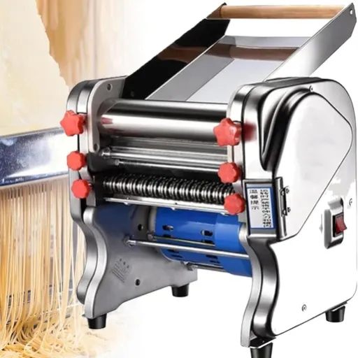 Test DDZJTPP Presse à Nouilles électrique : la machine qui pétrit pour vous