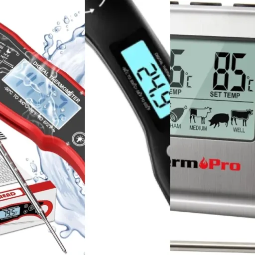 Les meilleurs thermomètre alimentaire : notre top 3 (janvier 2026)