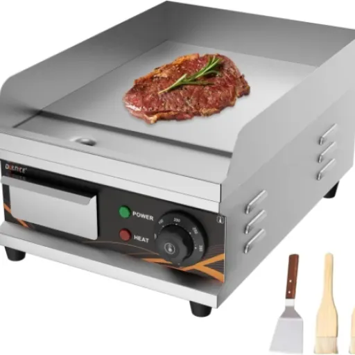 Test DULNICE Plancha Électrique : l'outil simple qui fait le job en cuisine