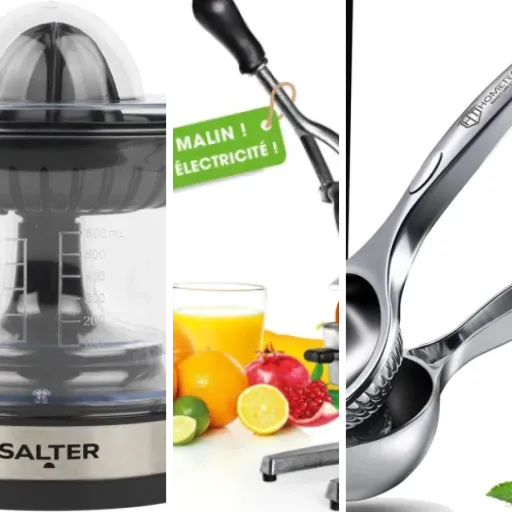 Top 5 : meilleurs presse-agrumes (2026)