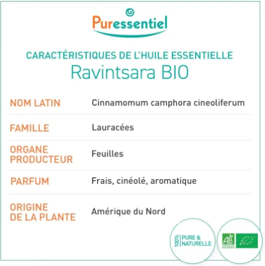 Huile Essentielle Ravintsara BIO – Contribue à la défense antivirale – 100% pure et naturelle – HEBDD – Cinnamomum camphora cineoliferum – 10 ml