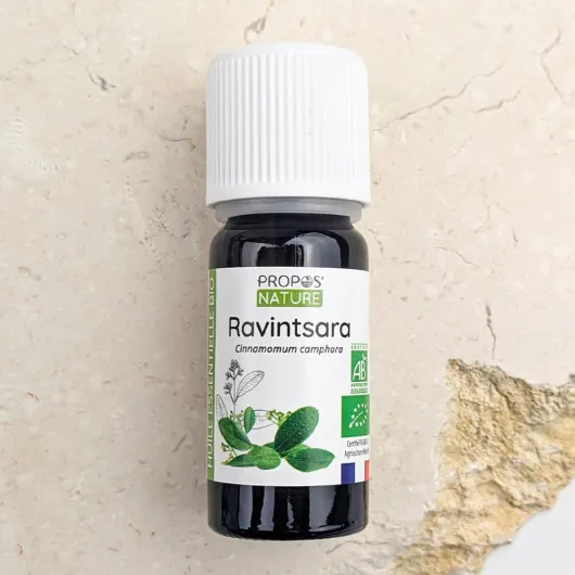 Huile Essentielle de Ravintsara Bio - Cinnamomum Camphora Leaf Oil - 100% pure et naturelle - 10 ml - PROPOS'NATURE 10 ml (Lot de 1)