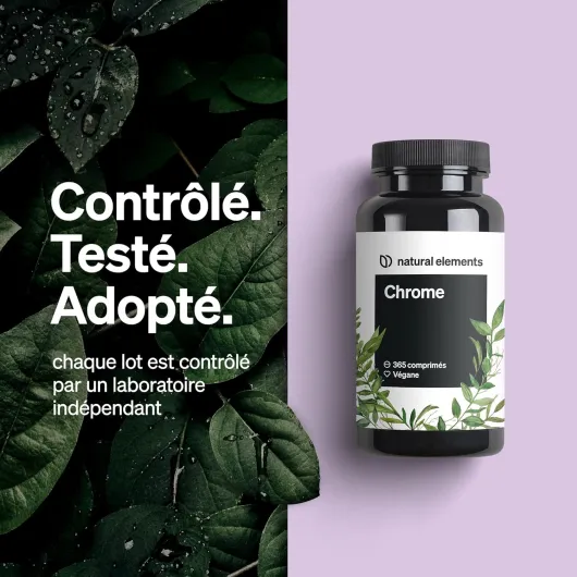 81bf75ldxfL._AC_SL1500_