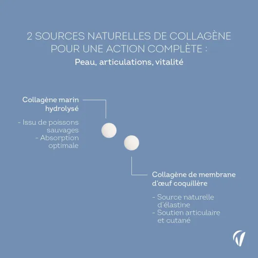 61OLTo5xqEL._AC_SL1500_