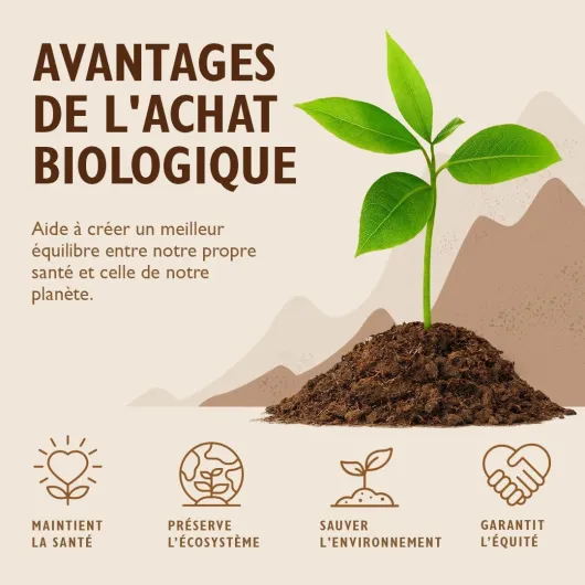 61tCZDPNOdL._AC_SL1080_