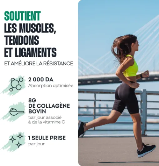 Peptides de Collagène Peptan 300g - Complément alimentaire sport avec Collagène Bovin - Articulations, Récupération, Peau & Tonicité - Goût Chocolat - Fabriqué en France
