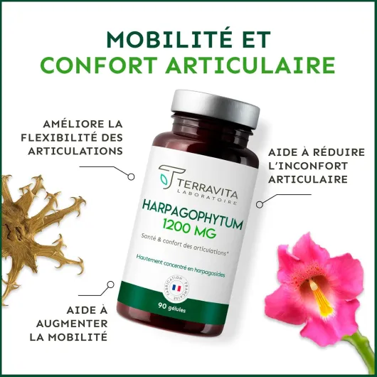 71eazQTR6CL._AC_SL1500_