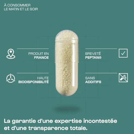 71H6tNGi-gL._AC_SL1500_