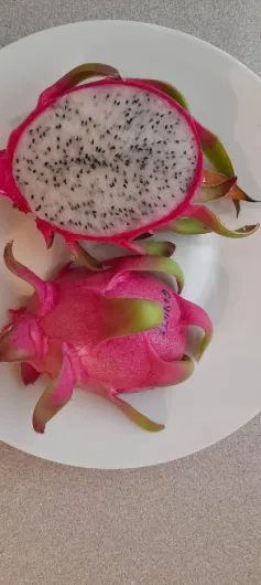 71a8SW0fPRL._AC_SL1500_