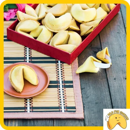 71kWpKEu6ZL._AC_SL1080_