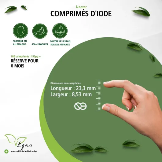 61UpfjwGNHL._AC_SL1500_