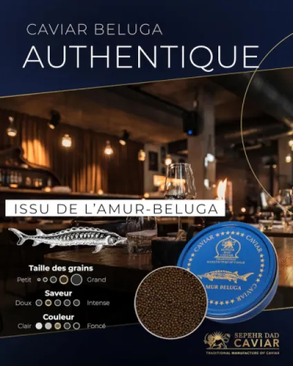 Sepehr Dad Caviar Beluga de l'Amour - Oeufs de poisson de classe A - CN d'élevage - 500g 500 g (Lot de 1)