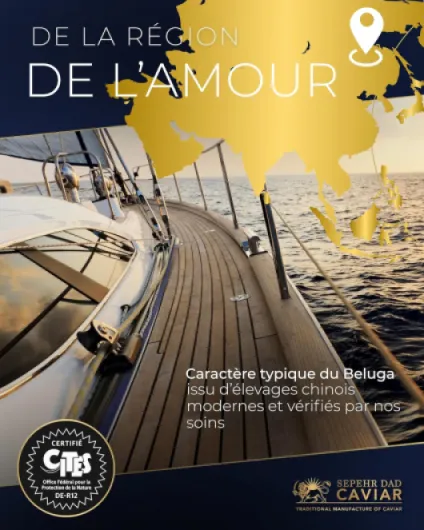 81TOQokDxxL._AC_SL1500_