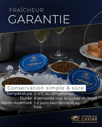 81FbyX12c3L._AC_SL1500_