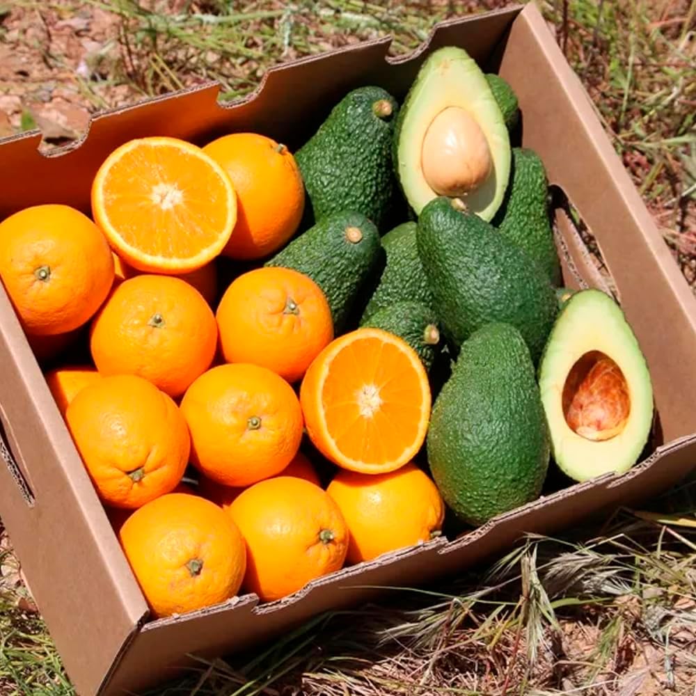 Boîte d'avocat hass et oranges - 2 kg d'avocat hass et 2 kg d'oranges, cultivées de manière durable, et expédiées directement du champ à votre maison, garantissant fraîcheur et saveur