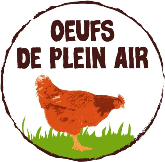 61mNNbOKoPS._AC_SL1316_