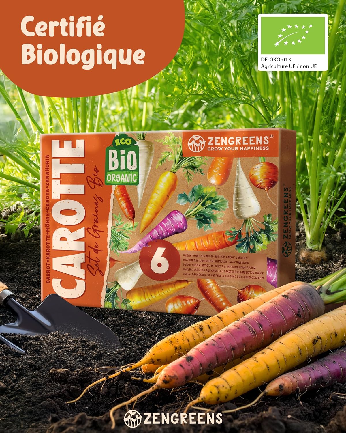 Kit de graines de carotte bio - 6 variétés pour une culture facile dans le jardin, sur le balcon ou dans une jardinière surélevée - Semences légumes Carotte 6