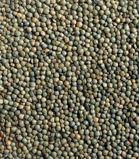 81U9GvXW16L._AC_SL1372_