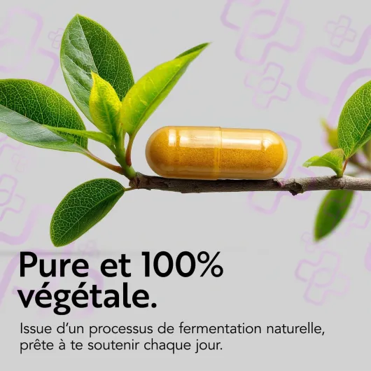 711h2y3DH7L._AC_SL1500_