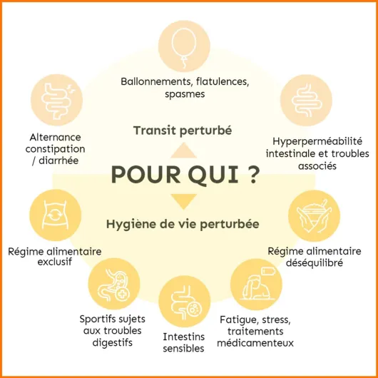 61rqK0v4exL._AC_SL1500_