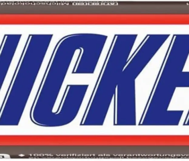 517fiBpTo5L._AC_SL1007_