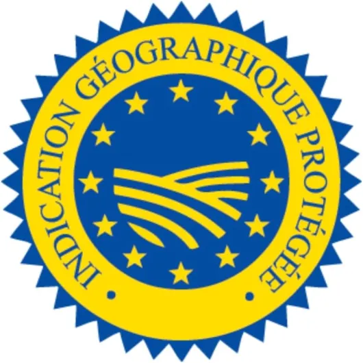 51c9x cZ sL._AC_SL1024_