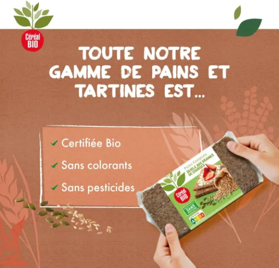 71ScbNCZNXL._AC_SL1240_