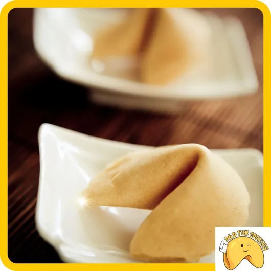 61Urc3K1daL._AC_SL1080_