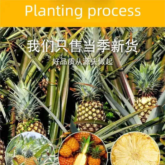 81bnb3Yv7pL._AC_SL1500_