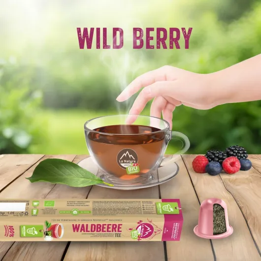 61tQXJjgxdL._AC_SL1080_