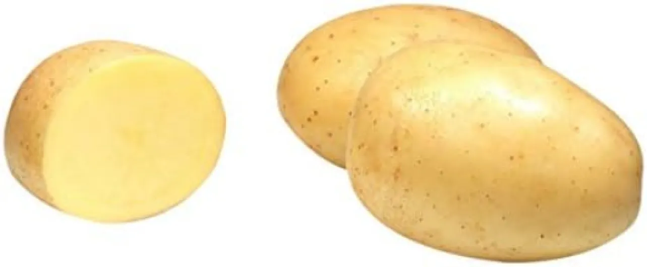Doréoc Pomme de Terre Four/Purée/Potage Calibre 50-75 mm 2,5 kg