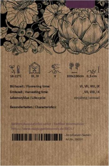 Courgette vert clair 'Genovese' (Cucurbita pepo) Bio - environ 10 graines