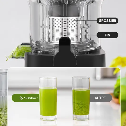 Extracteur de Jus Juicer 120mm Grande Bouche, Presse Agrume Électrique Anti-Blocage 60Tr/Min, Jus Fruits et Légumes Haut Rendement, Inox, Facile à Nettoyer [Energy Class A+++] 120MM Argenté