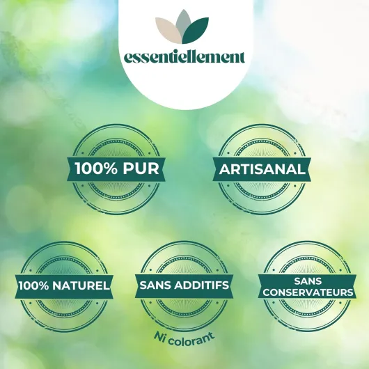 81h-Rm0JHGL._AC_SL1500_