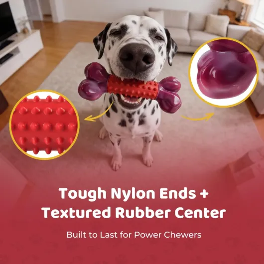 Jouet Chien Indestructible: Jouet pour Chien pour Chiens Moyens et Grands, Jouets à Mâcher pour Chiens pour Mâcheurs Agressifs, Caoutchouc Naturel & Nylon Durable, en Forme d’Os, Saveur Bœuf Rouge