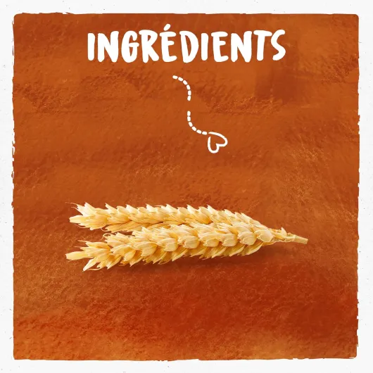 81Qxok04x5L._AC_SL1500_